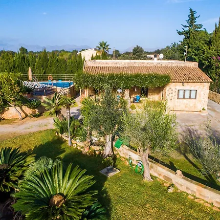 Spacious With Garden Holiday home Alcudia (Mallorca)
